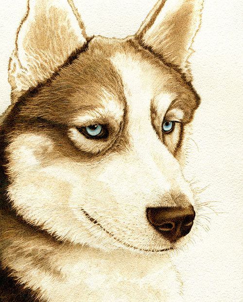 Eyes of Aurora